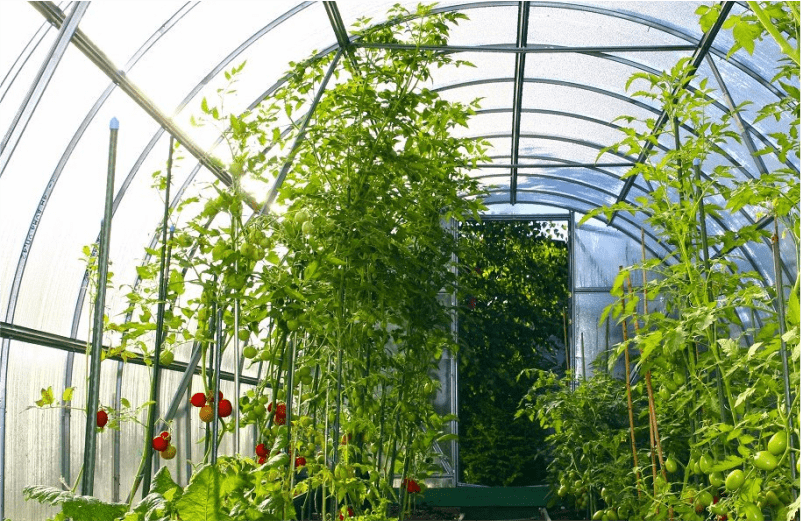 Автоматизация продажи теплиц у ИП Тарасевича А.Ю